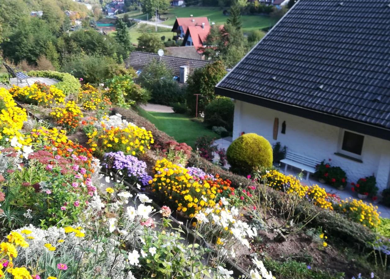 Haus Käshammer Ottenhöfen im Schwarzwald Exterior foto